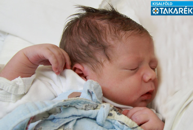 Pöthe Péter, Mosonmagyaróvár