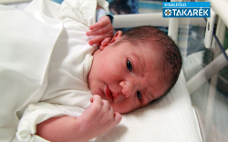 Döbrönte Péter, Kimle