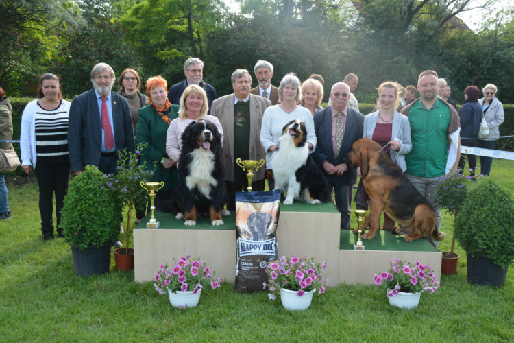 CAC kutyakiállítás (Fotó: Nagy Mária)