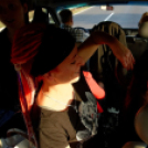 Japán Kert (Fotó: Horváth Attila)