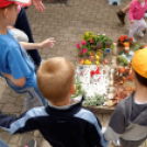 Apró kezek, csodakertek kertépítő verseny (Fotó: Horváth Attila)