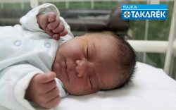 Hofbauer Vilmos, Mosonmagyaróvár