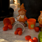 Termény- és virágkiállítás 