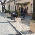 Virágedények növényesítése