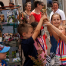 Apró Kezek, Csodakertek