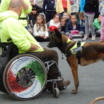 XI. Elfogadás napja