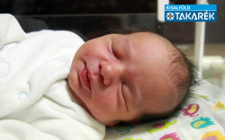 Nagy Nikosz, Mosonmagyaróvár