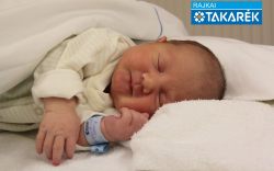 Gulyás-Huszár Zétény, Mosonmagyaróvár