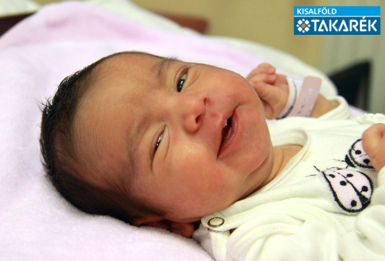 Gősi Borbála, Mosonmagyaróvár