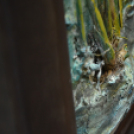 Tapintsd meg, képzeld el, leld örömöd benne című kiállítás és megnyitója ( Fotó: Patács Judit )