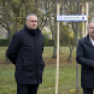 Országfásítási program Mosonmagyaróvár