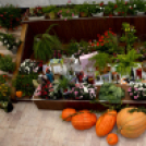 Termény- és virágkiállítás 