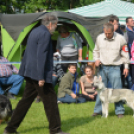 CAC kutyakiállítás (Fotó: Nagy Mária)