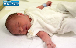 Takács Máté, Csorna