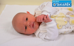 Szűcs Máté Péter, Mosonmagyaróvár