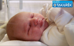 Horváth Dávid, Vitnyéd