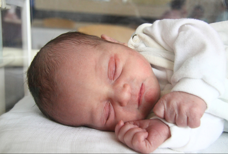 Papp Zsombor Péter, Mosonmagyaróvár