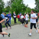 XII. Greiner Szigetköz Minimaraton (Fotó: Horváth Attila)