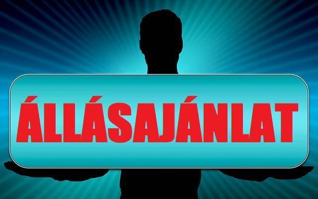 A WHC Kft. munkatársakat keres