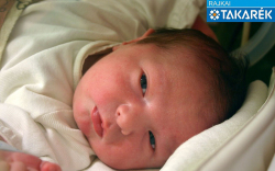 Győrig Zalán, Mosonmagyaróvár