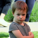 Az Ebuló Kutyaiskola interaktív kutyás bemutatója a Pillangó óvodában (Fotó: Stipkovits Veronika)