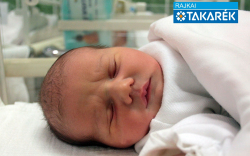 Visi Boglárka, Mosonszentmiklós