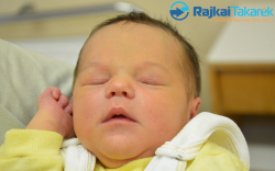 Major Bíborka, 3200 gr. Mosonszolnok