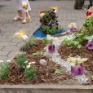 Apró kezek, csodakertek kertépítő verseny (Fotó: Horváth Attila)