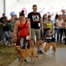 XI. Szigetköz ízei, Vármegye borai Fesztivál 3. nap 