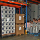 Kőrisfacsemetéket ültettek a diákok a Nolato Magyarország Kft telephelyén