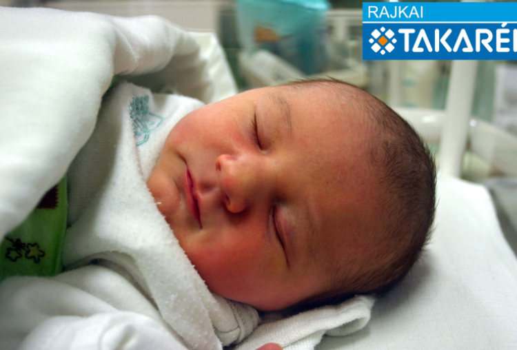 Családi Dorka, Mosonudvar