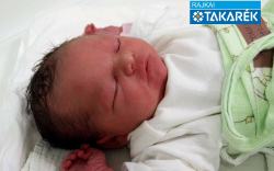 Antoni-Baca Karolina, Mosonmagyaróvár