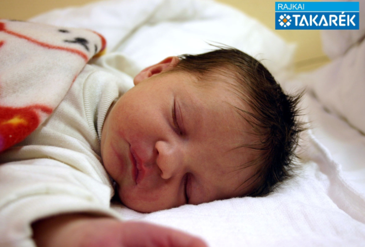 Nagy Szófia Szonja, Halászi