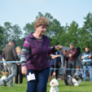 CAC kutyakiállítás (Fotó: Nagy Mária)