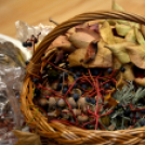 Családi délután a Pillangó Óvoda és Mini Bölcsődében 