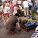 Apró Kezek, Csodakertek