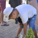 VII. Apró kezek, csodakertek Gyermek Kertépítő verseny