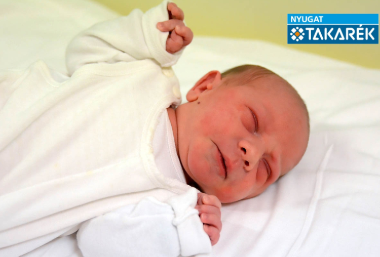 Edesár Máté, Mosonmagyaróvár