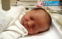 Boros Zalán Marcell, Mosonmagyaróvár