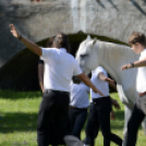 XII. Szigetköz ízei, Vármegye borai Fesztivál 2. nap