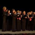 Jótékonysági műsor a Fehér Ló Közösségi Ház-ban (fotó: Horváth Attila)