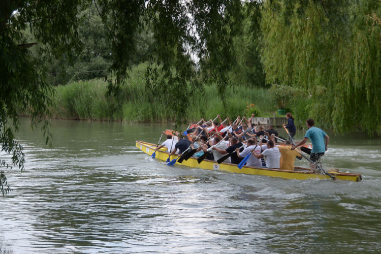 4. Kéklámpás Nap (Fotó: Horváth Attila)