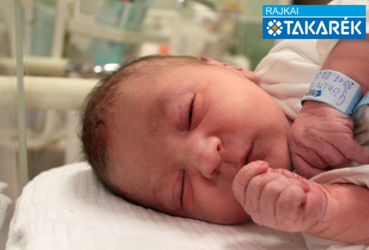 Göncz Balázs, Rábapordány