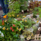 VI. Apró kezek, Csodakertek Gyermek Kertépítő verseny (Fotó: Bánhegyi István)