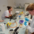 Kutatók éjszakája 2014 Nyugat-magyarországi Egyetem (Fotó: Horváth Attila)