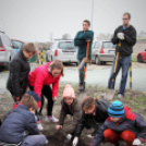 Kőrisfacsemetéket ültettek a diákok a Nolato Magyarország Kft telephelyén
