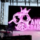 Voluta 1 nap (Fotó: Stipkovits Veronika és Bánhegyi István)