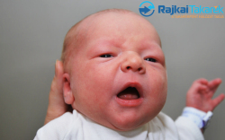 Kozselszky Ferenc, 3320 gr. Mosonszentmiklós