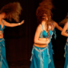 Japán Kert (Fotó: Horváth Attila)