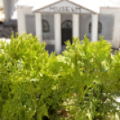 VII. Apró kezek, csodakertek Gyermek Kertépítő verseny